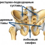 Причина боли в лобковых костях